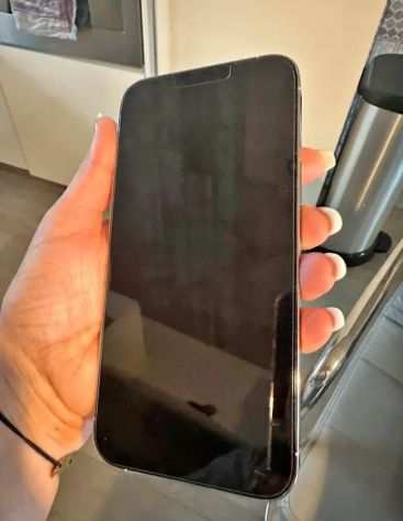 IPhone 13 pro max 256 GB