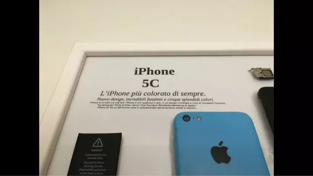 iPhone 5C Blue Disassemblato e Incorniciato