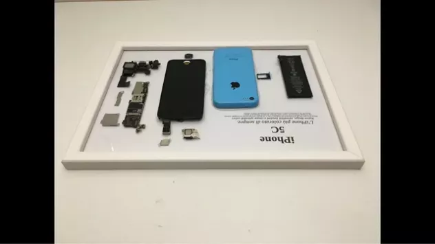 iPhone 5C Blue Disassemblato e Incorniciato