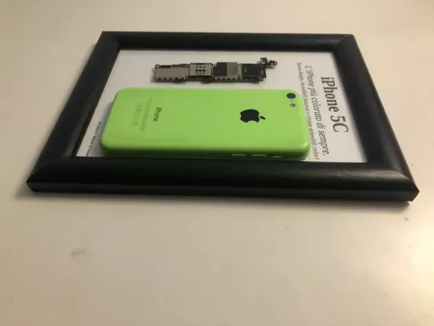 IPhone 5C Green A1507 Disassemblato e Incorniciato