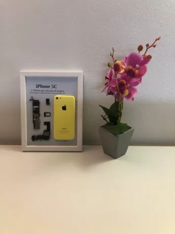 iPhone 5C Yellow A1507 Disassemblato Incorniciato