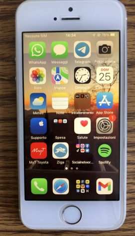iPhone SE 2016 128GB argento usato