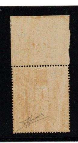Italia Regno 1874 - Ricognizione Postale Nuovo con Numero di Tavola in Rettangolo. - SASSONE