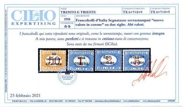 Italia Trento e Trieste 1918 - Segnatasse soprastampati con valore in corone, serie completa di 9 valori. Certificata - Sassone T 19