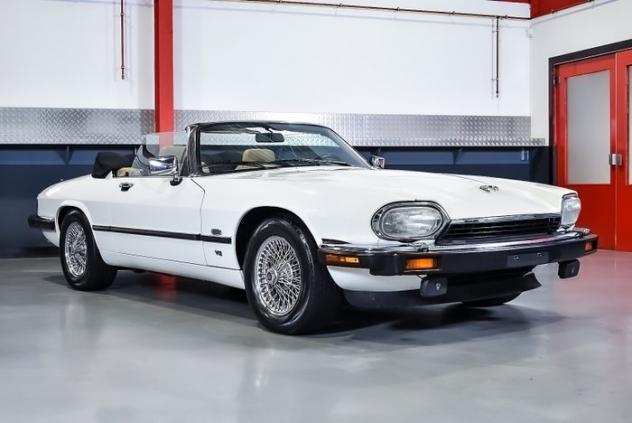 Jaguar - XJS Convertible 5,3L V12 - NO RESERVE - 1992