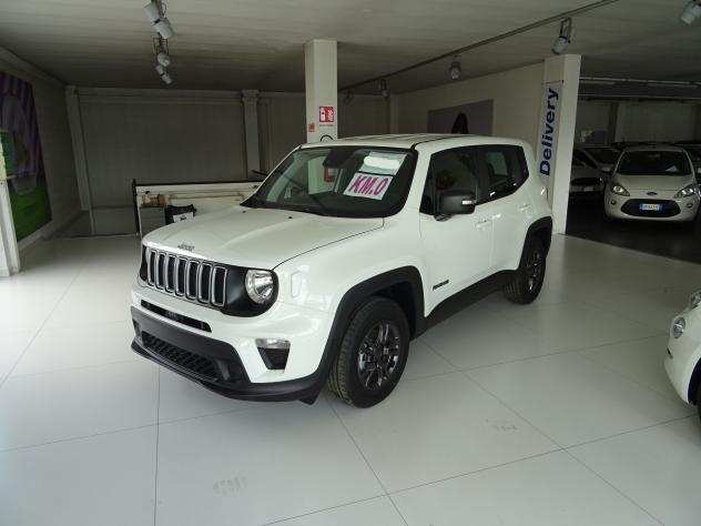 Jeep Renegade 1.6 Mjt 130 CV Longitude