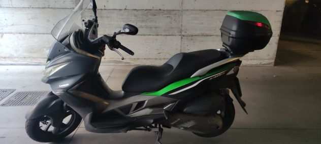 Kawasaki J 300