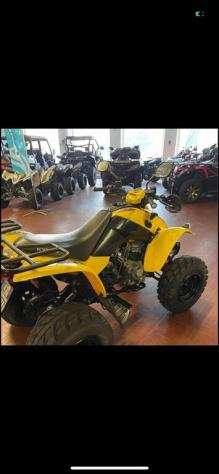 Kymco Maxxer 250 2004