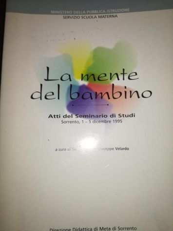 LA MENTE DEL BAMBINO