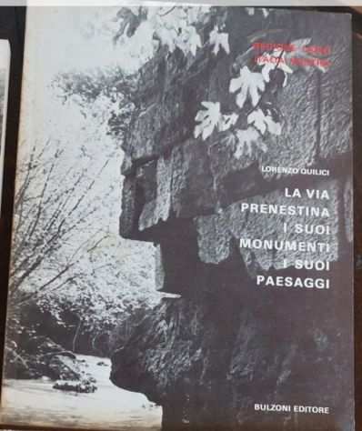 La Via Prenestina  i suoi monumenti, i suoi paesaggi Quilici, Lorenzo , 1977