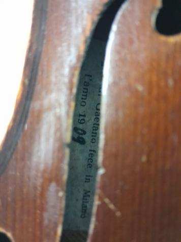 Labelled Antoniazzi Riccardo - Violino - Italia