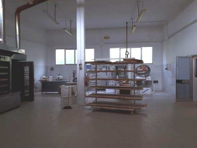 Laboratorio in vendita a SAN GIOVANNI ALLA VENA - Vicopisano 216 mq Rif 1038666