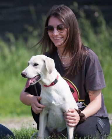 LABRADOR INCROCIO, CUCCIOLO 5 MESI, ASTRO, CERCA CASA