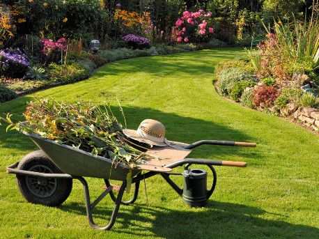Lavori di Giardinaggio - cura del verde - Trattamenti fitosanitari - zanzare