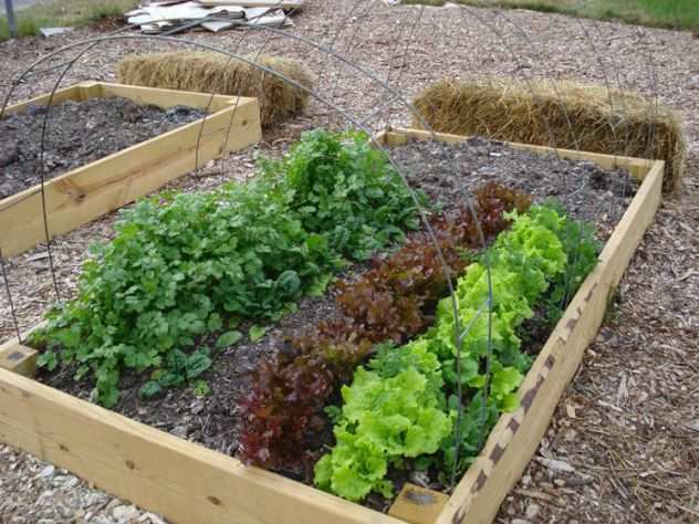 Lavori di giardinaggio Siracusa e provincia