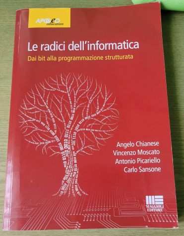 Le radici dellInformatica. Dal Bit alla Programmazione Strutturata