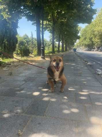 LESKY SUPER CAGNOLINO