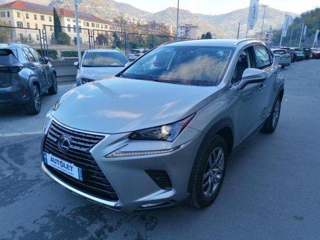 Lexus NX I 2018 300h 2.5 Premium 4wd cvt