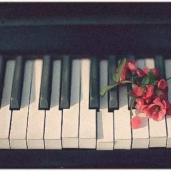 Lezioni di pianoforte o canto