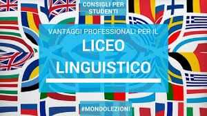 LEZIONI PRIVATE CON INSEGNANTE DI LINGUE