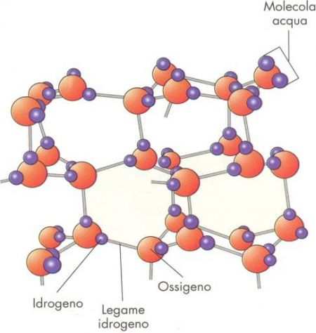 Lezioni ripetizioni di chimica analitica organica biochimica