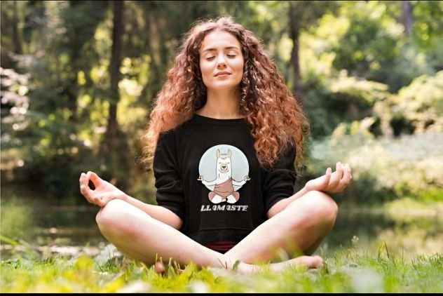 llamaste cool llama meditation t-shirt