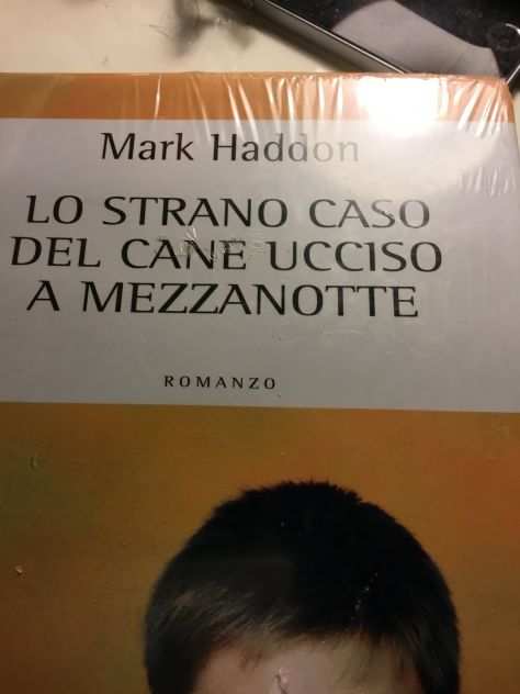 LO STRANO CASO DEL CANE UCCISSO A MEZZANOTTE