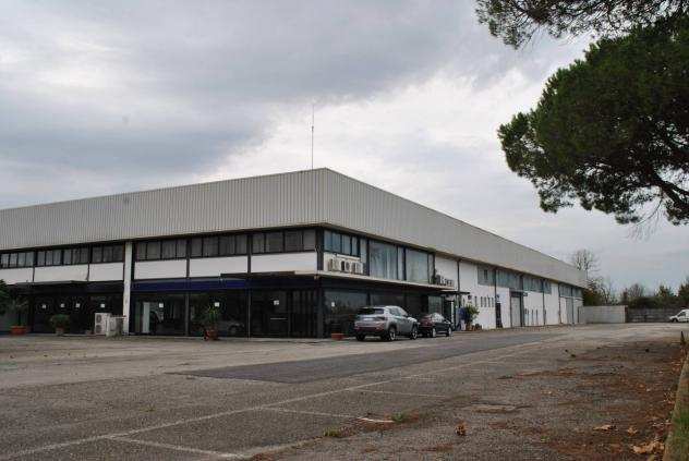 Locale comm.leFondo in vendita a MADONNA DELLACQUA - San Giuliano Terme 1700 mq Rif 787209