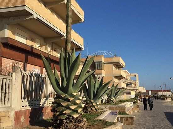 Loft in zona Fiumicino  TUTTO INCLUSO