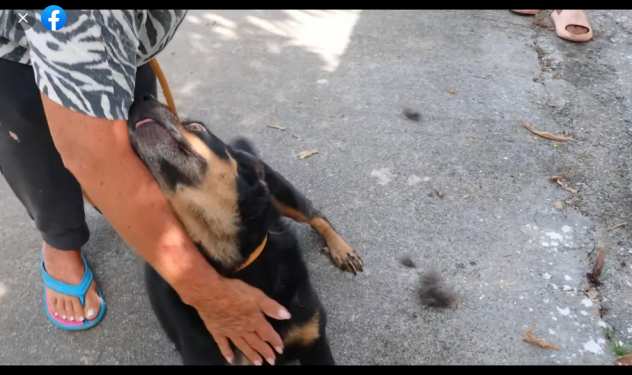 LOLA 5anni dolcissima ed invisibile Calabria