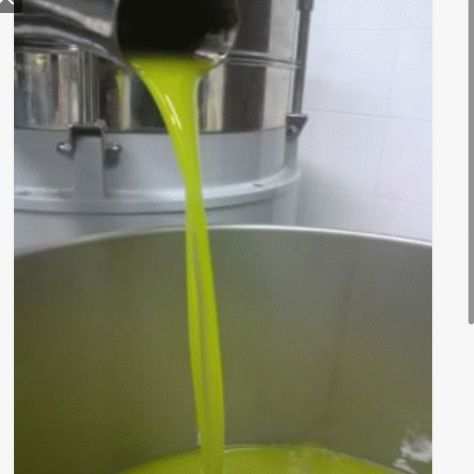 Lolio extravergine di oliva di Carmignano dell annata 2023.