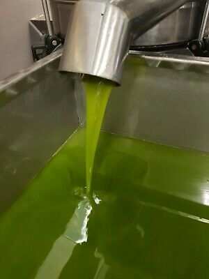 Lolio extravergine di oliva di Carmignano dell annata 2023.
