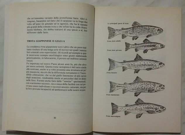 Lrsquoabc della pesca - La pesca della Trota Francesco Duse Ed.De vecchi 1985 nuovo