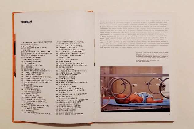 LrsquoAMBIENTE DELLrsquoUOMO Il club delle giovani marmotte Ed Mondadori, 1977