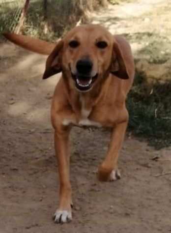 LUCIANO 4anni un po timidino tanto bravo SUD