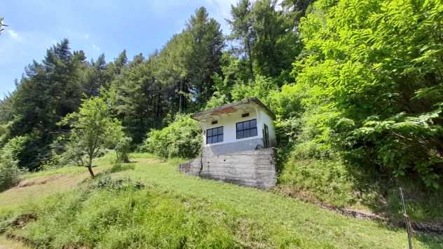 LUNIGIANA - CASA con rustico e terreni