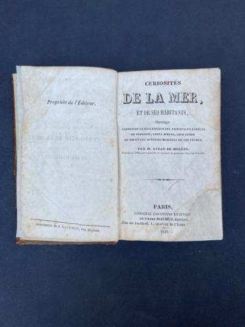 Lyras de Moleograven - Curiositeacutes de la mer et des ses habitants - 1839