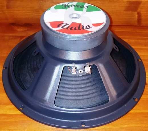 Made in Italy KORES AUDIO coppia woofer da 250mm 2526cm 10 pollici