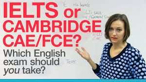 MADRELINGUA INGLESE IMPARTISCE CORSI PROFESSIONALI DI INGLESE