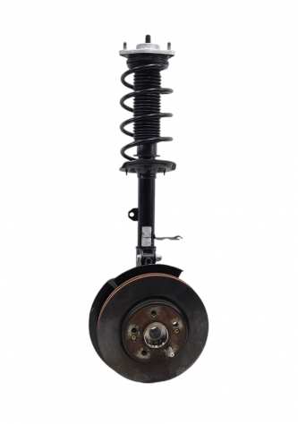 MASSA MECCANICA COMPLETA DESTRA DR 5.0 Serie 204000006AA (19)