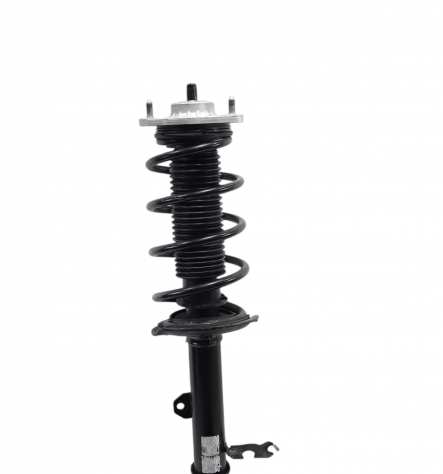 MASSA MECCANICA COMPLETA DESTRA DR 5.0 Serie 204000006AA (19)