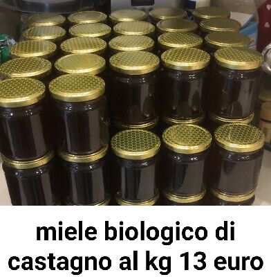 Miele biologico di castagno 13 euro al kg