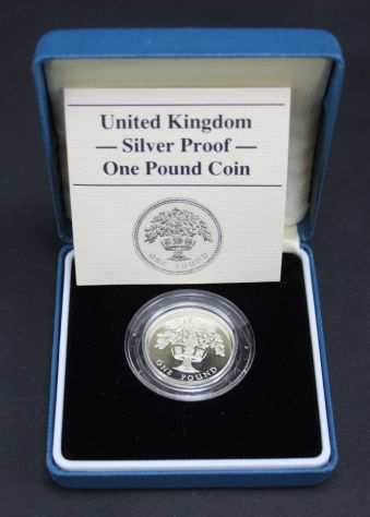 MONETA IN ARGENTO ONE POUND ndash SILVER PROOF ndash UNITED KINGDOM