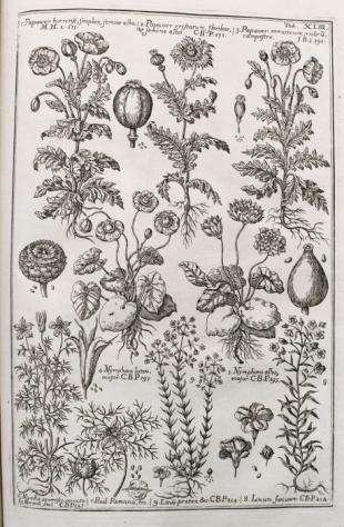Morandi - Historia Botanica - 1744