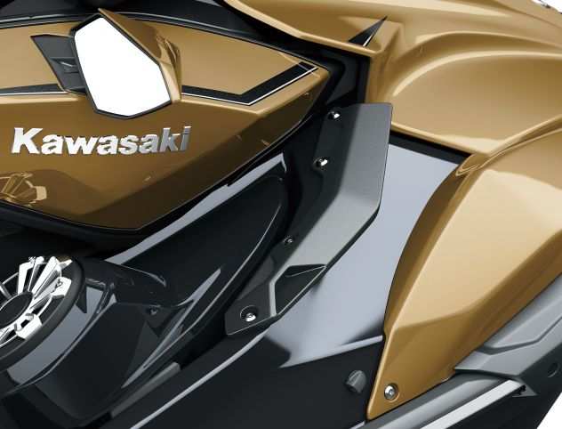 Moto dacqua Kawasaki 310 LX