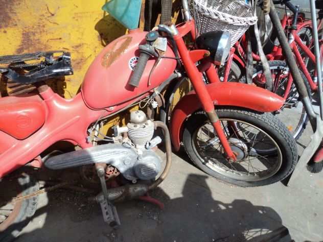 MOTOM 48cc