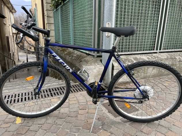 Mountain bike