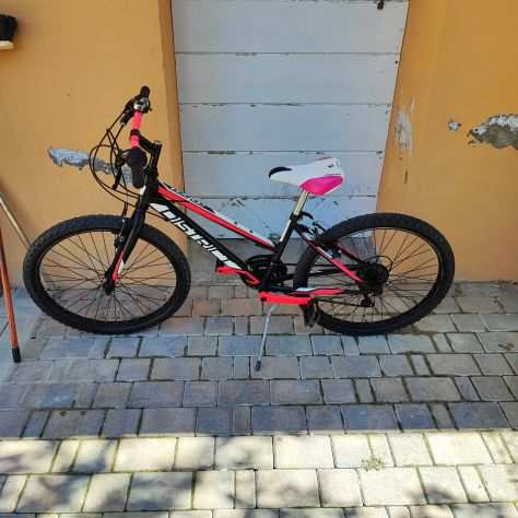 Mountain bike bimba misura 24