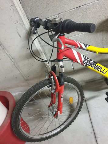 Mountain bike Carnielli ruota 24