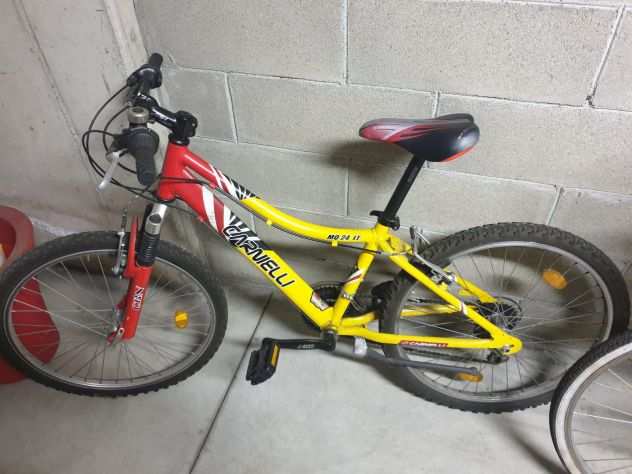 Mountain bike Carnielli ruota 24